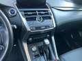 Lexus NX 300 NX 300h 2.5 F Sport 4wd cvt Gri - thumbnail 17