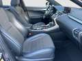 Lexus NX 300 NX 300h 2.5 F Sport 4wd cvt Gri - thumbnail 19