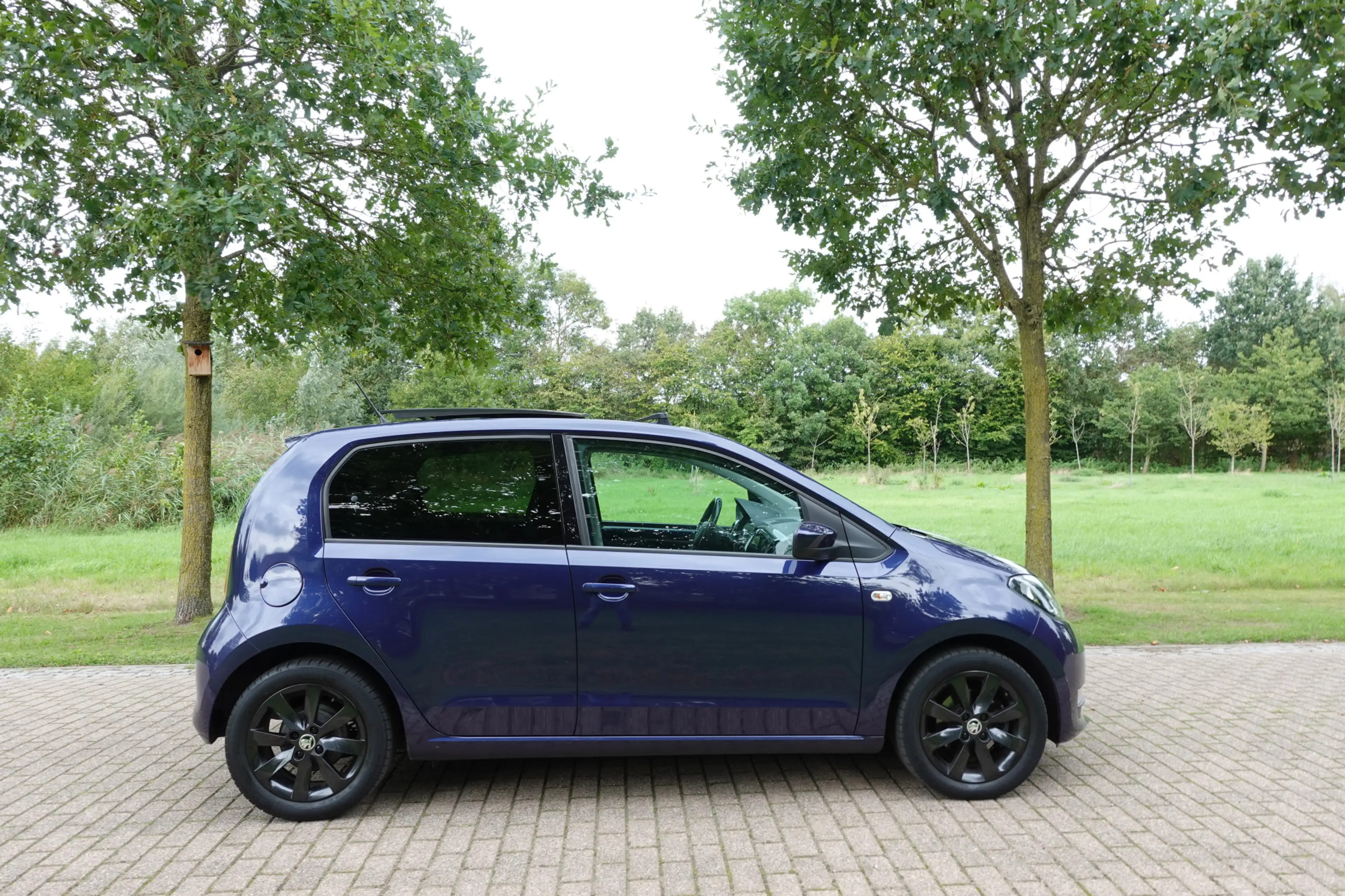 Skoda Citigo 1.0 Greentech Style | Panorama dak | Cruise Contro — photo 5