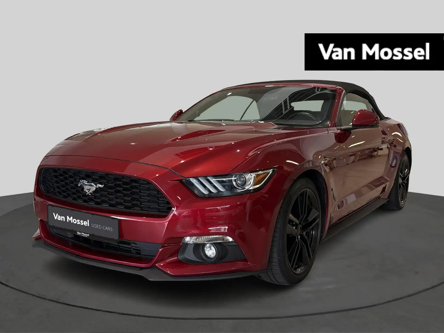 Ford Mustang Cabriolet 2.3i EcoBoost Rot - 1