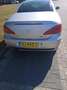 Peugeot 307 307 1.6-16V Zilver - thumbnail 2