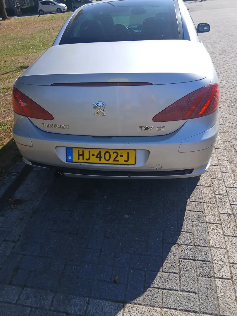 Peugeot 307 307 1.6-16V Zilver - 2