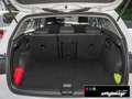 Volkswagen Golf VIII Life 1.5 TSI LED+NAVI+SITZHEIZUNG Blanc - thumbnail 10
