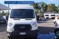 Ford Transit 330 2.0TDCi EcoBlue Trend L3H2hybrid rivestito int Bianco - thumbnail 1