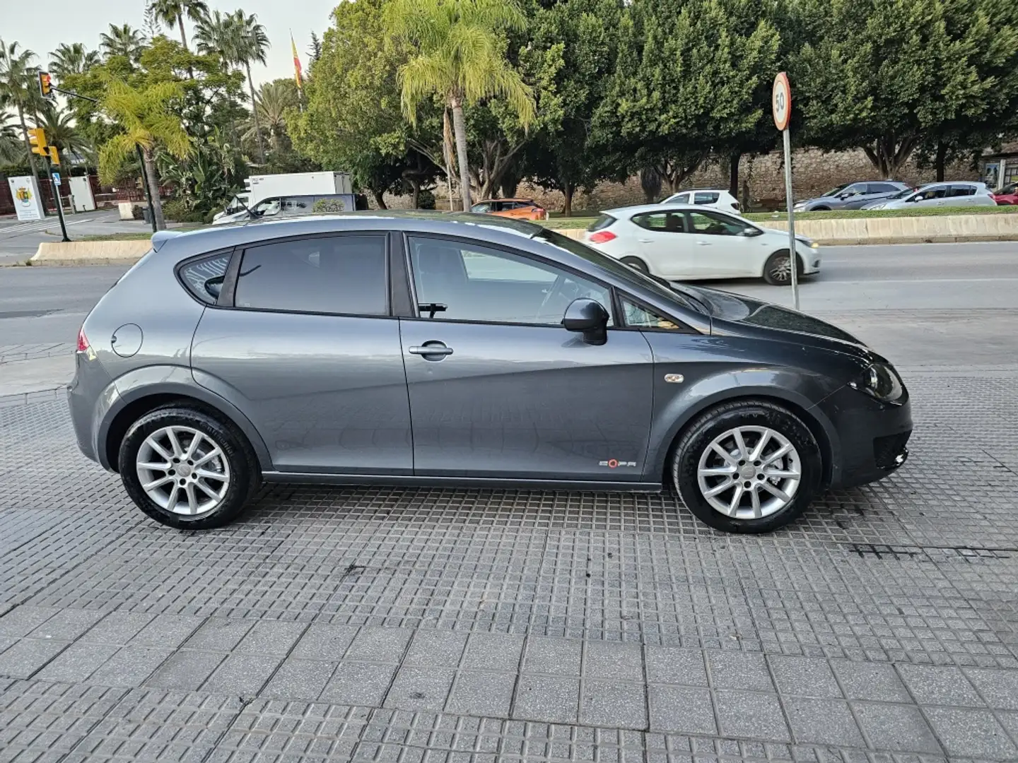 SEAT Leon 1.6TDI CR S&S Reference 105 Grau - 1