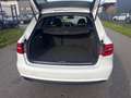 Audi A4 Av. 2,0 TDI S-Line-Panodach-Xenon-Leder-Navi Blanc - thumbnail 19