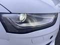 Audi A4 Av. 2,0 TDI S-Line-Panodach-Xenon-Leder-Navi Blanc - thumbnail 11