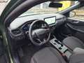 Ford Kuga ST-line Grün - thumbnail 9