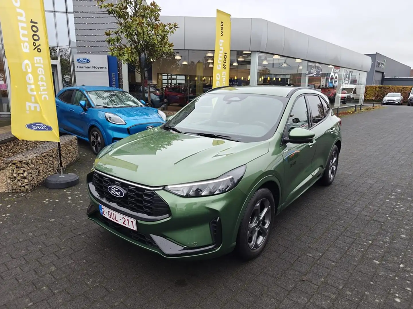 Ford Kuga ST-line Grün - 2