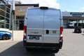 Fiat Ducato Maxi L2H2 180AT ACC LED Webasto Digitale... Silber - thumbnail 14