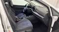 Volkswagen Golf 1.5 eTSI OPF 150ch  Style 1st DSG7 - thumbnail 15