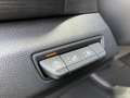 Renault Trafic EXTRA L2H1 3.0t 170 PS DoKa, 6 Sitzer AHK Gris - thumbnail 8