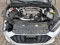 Audi RS5 2.9 TFSI qu. Unfall Pano Matrix Essential Weiß - thumbnail 10