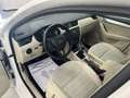 Skoda Octavia Octavia Wagon 2.0 tdi cr Executive 4x4 150cv Bianco - thumbnail 10