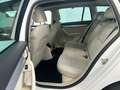Skoda Octavia Octavia Wagon 2.0 tdi cr Executive 4x4 150cv Bianco - thumbnail 13