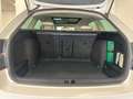 Skoda Octavia Octavia Wagon 2.0 tdi cr Executive 4x4 150cv Bianco - thumbnail 15