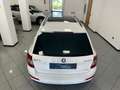 Skoda Octavia Octavia Wagon 2.0 tdi cr Executive 4x4 150cv Bianco - thumbnail 8