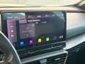 CUPRA Formentor VZ 2,0 TSI 4Drive DSG Grau - thumbnail 39