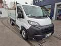 Peugeot Boxer Pritsche L2 3500+ BlueHDI 140 "inkl. Wint... Weiß - thumbnail 1
