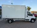 Peugeot Boxer Boxer 335 2.2 BlueHDi 140 S&S PC Cabinato Bianco - thumbnail 5