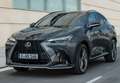 Lexus NX 350h Executive 4WD Gris - thumbnail 20