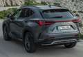 Lexus NX 350h Executive 4WD Gris - thumbnail 32