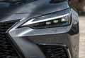 Lexus NX 350h Executive 4WD Gris - thumbnail 27