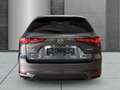 Mazda CX-60 HOMURA-PLUS HUD El. Panodach Bose Memory 360 Kamer Grau - thumbnail 6