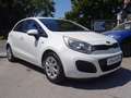Kia Rio 5p 1.2 cvvt Active KM 69000 ((OK NEOPATENTATI)) Bianco - thumbnail 3