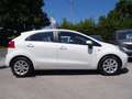 Kia Rio 5p 1.2 cvvt Active KM 69000 ((OK NEOPATENTATI)) Bianco - thumbnail 5