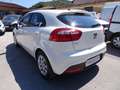 Kia Rio 5p 1.2 cvvt Active KM 69000 ((OK NEOPATENTATI)) Bianco - thumbnail 6