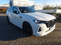 Mazda CX-60 e-SKYACTIV-D 254 M HYBRID AWD HOMURA Blanc - thumbnail 7