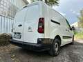 Citroen Berlingo BlueHDI 100 S&S Van COIBENTTO IVA INCLUSA Bianco - thumbnail 4