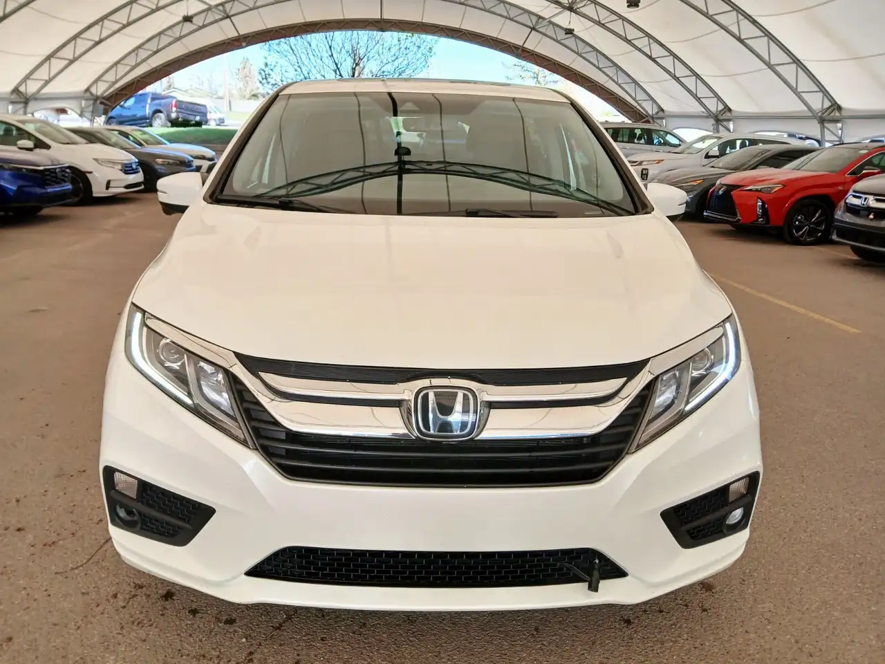 Honda Odyssey снимка Honda Odyssey