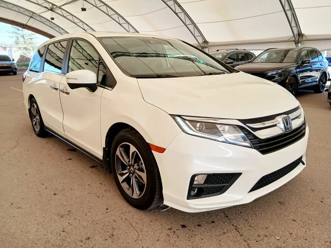 Honda Odyssey снимка Honda Odyssey