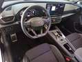 CUPRA Formentor 1.5 TSI DSG Facelift Navi LM19 Kessy Kamera ACC Zwart - thumbnail 11