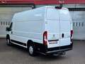Peugeot Boxer Kasten Grossraum 435 L4H3 Premium BlueHDi Blanc - thumbnail 5