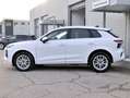 Audi Q3 2.0 Tdi 150cv S-tronic Business Advanced Bianco - thumbnail 2