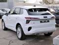 Audi Q3 2.0 Tdi 150cv S-tronic Business Advanced Bianco - thumbnail 3