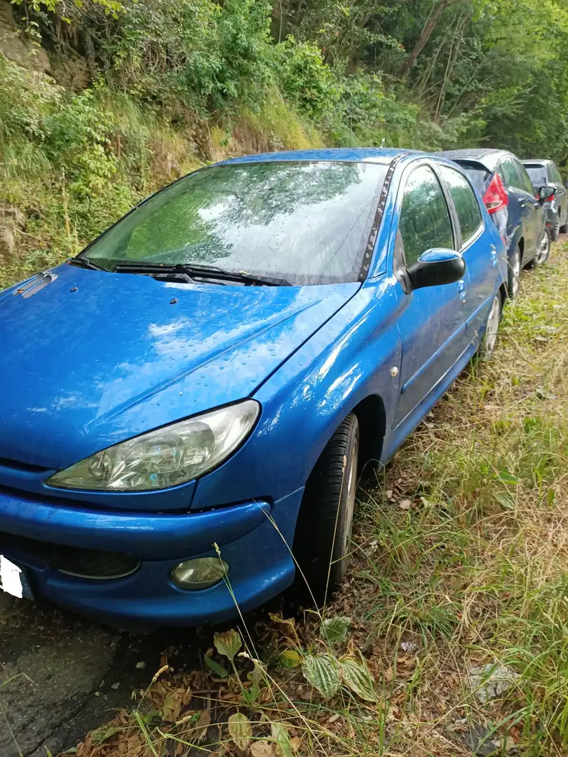 Peugeot 206 5p 1.4 Enfant Terrible - 2