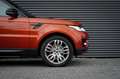 Land Rover Range Rover Sport 3.0 SDV6 Autobiography Dynamic / Volledig onderhou crvena - thumbnail 16