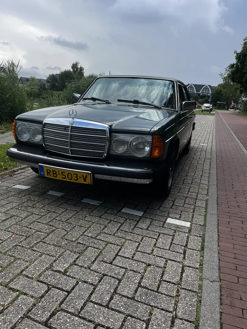 Oldtimer Mercedes Benz W123 300D - 1978 - wegenbelastingvrij - open dak Groen - 1