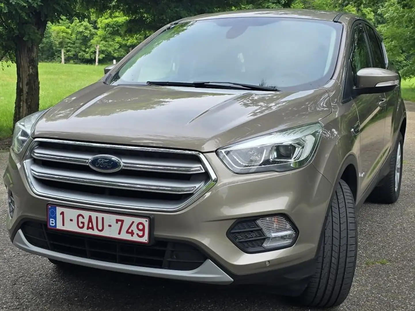 Ford Kuga Kuga 1.5 EcoBoost 4x4 Aut. Titanium - 1