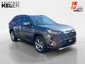 Toyota RAV 4 Hybrid 4x2 Team Deutschland *Technik-Paket *1.Hand Grau - thumbnail 7