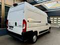 Citroen Jumper 2.2 HDi L2H2 3,5t 3SITZ KLIMA PDC CAM NAV Weiß - thumbnail 10
