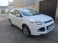 Ford Kuga 1.5 EcoB. S&S Titanium 4x4 Aut. 180 Weiß - thumbnail 6