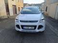 Ford Kuga 1.5 EcoB. S&S Titanium 4x4 Aut. 180 Weiß - thumbnail 7
