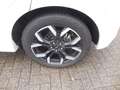 Ford Puma Ecoboost mHEV ST-Line X Beige - thumbnail 5
