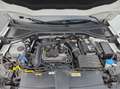 Volkswagen T-Roc T-ROC 1.0 TSI LIFE*AHK*PDC*SHZ*NAVI*KLIMA*ALLWET Weiß - thumbnail 21