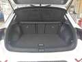 Volkswagen T-Roc T-ROC 1.0 TSI LIFE*AHK*PDC*SHZ*NAVI*KLIMA*ALLWET Weiß - thumbnail 9